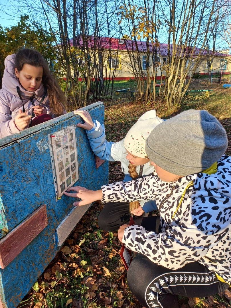 OnMbY u1Dq3Y5alyZK3O24Xv5Lu5M vXXrG0gUFtg9lf4uMYYmRPK rrEsrJ5p2sebWW8im5rWWMCf3039pLSlT