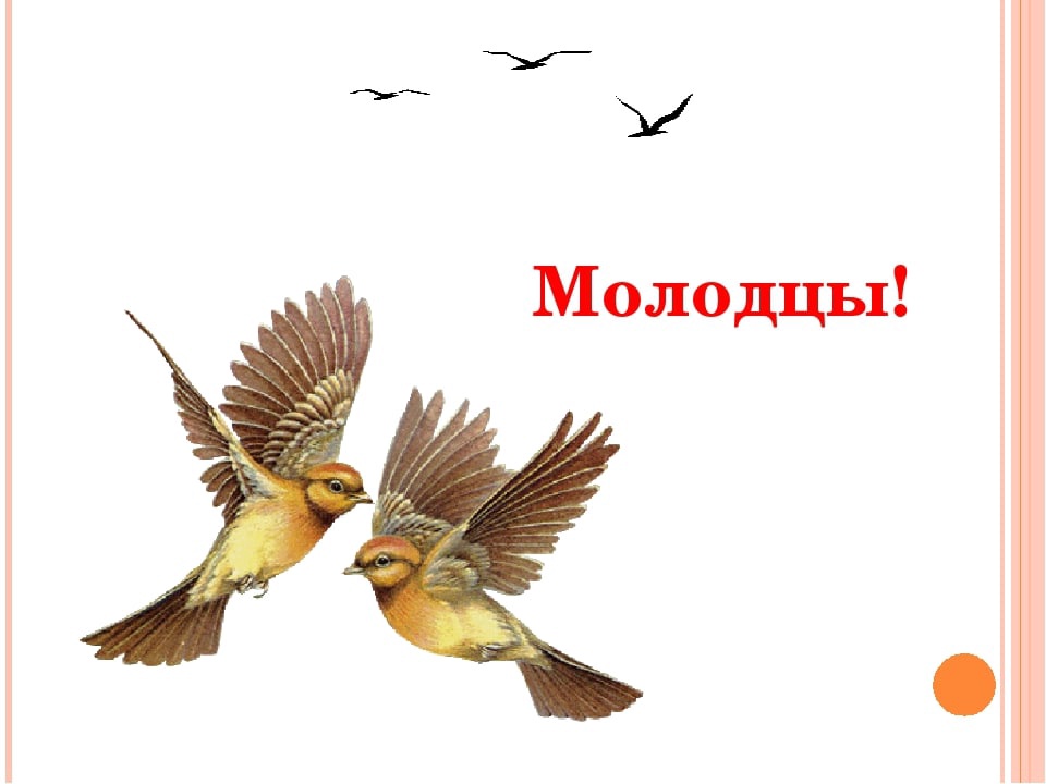 R6Oxo5QwkV7NU cy7FGyWTtf4JbuTBYOeXq n66pR5TnSPPDT6KfVOnGDzukbv hBeRIePJHKrUM6fO8eCoq4aTt